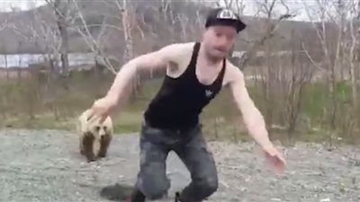 سائح يستفز دباً. . والنتيجة درساً لن ينساه