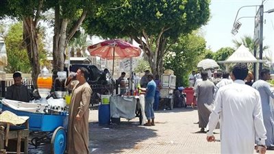 فى ثالث أيام العيد بالأقصر: الإحتفال حتى الساعات الأولى من الصباح.. بالصور