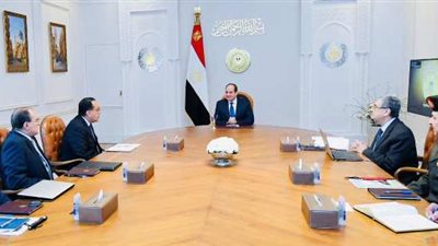 السيسي يوجه بالإسراع في استكمال التغذيةالكهربائيةلـ