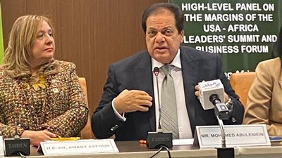 أبو العينين: مبادرات السيسي ستحدث نقله استثمارية وحضارية لـ القارة السمراء