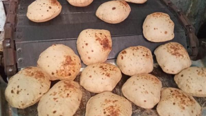 تحرير 223 محضر تمويني