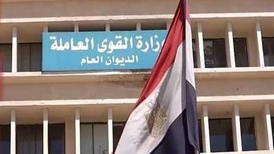 القوى العاملة: بدء التدريب المجاني على ٣ مهن بالإسماعيلية