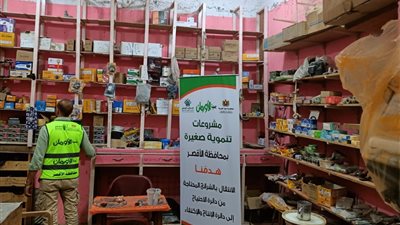 تضامن الأقصر تعلن عن تنفيذ عدد 5271 مشروع تمكين اقتصادى