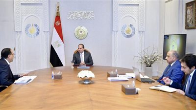 الرئيس السيسي يتابع مستجدات تطوير شركة 