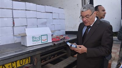 محافظ المنيا: مؤسسة 