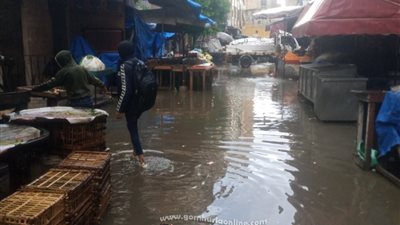 برق ورعد وامطار غزيرة بالاسكندرية..صور