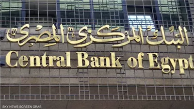 البنك المركزي يصدر قرارات جديدة لدعم استراتيجية التحول الرقمي