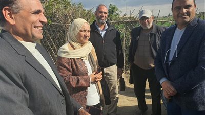 لجنة وزارية تتفقد زراعات الفراولة بالإسماعيلية..صور