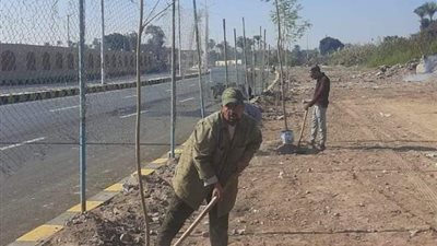 خطه لزراعه الاشجار المثمرة بالطرق ببنى سويف