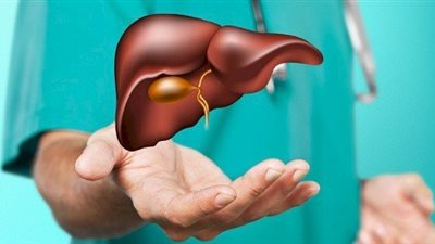 رئيس جامعة المنصورة: إجراء 100 عملية زراعة كبد في العام.. فيديو