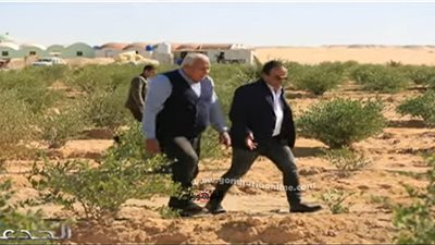 فيديو.. خبير : 2 طن زيادة إنتاجية فدان الجوجوبا في مصر
