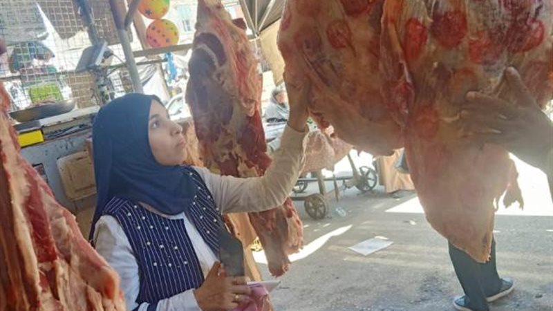 الرقابة البيطريه