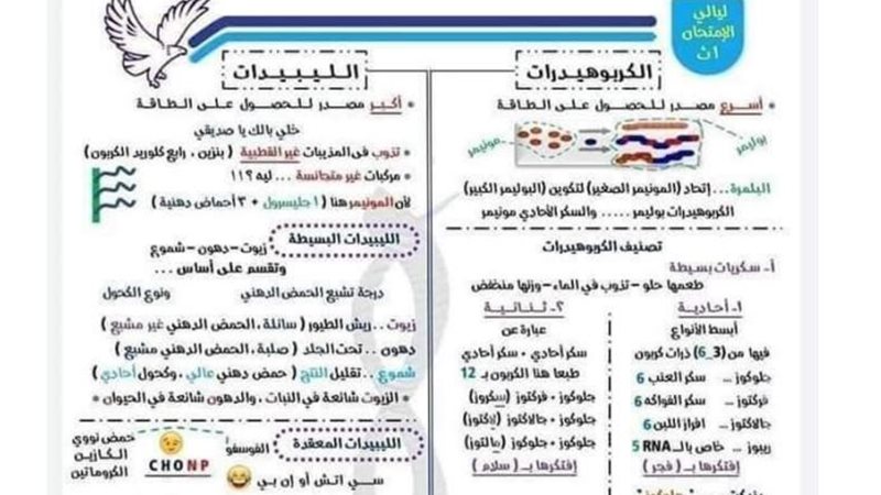 مراجعة احياء اولى