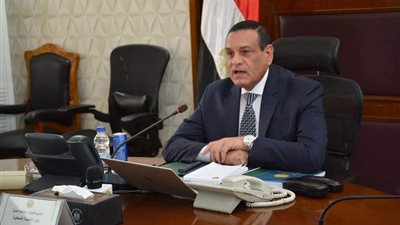 وزير التنمية المحلية: زراعة 3.7 مليون شجرة بالمحافظات حتى الآن