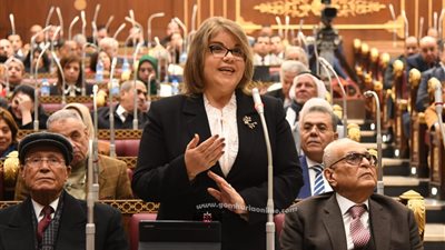 وكيل الشيوخ تؤكد أهمية إطلاق استراتيجية وطنية لدمج الاقتصاد غير الرسمى