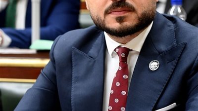 تشكيل جديد لأمانة الشباب المركزية لحزب مستقبل وطن..بينهم الجارحي