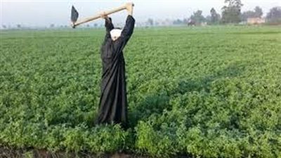 خليفة : اهتمام الرئيس السيسي بمبادرة 