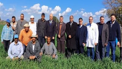 رئيس جامعة بنها يتفقد مزارع القمح والوحدات الإنتاجية بزراعة مشتهر