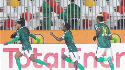 مدغشقر تفوز على غانا بثنائية في كأس أمم إفريقيا للمحليين.. فيديو