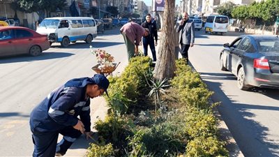 حملات لزراعة الأشجار ضمن مبادرة 100 مليون شجرة وإنشاء محور جديد