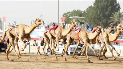 تعرف على سبب تسمية سباق 