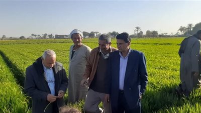 ندوة إرشادية عن محصول القمح بمركز أبو قرقاص