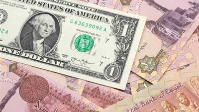 رئيس غرفة القليوبية:اعتماد الجنيه في روسيا يخفف الضغط على الدولار