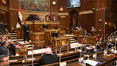 رئيس الشيوخ: الاحتفالات المصرية يتم متابعتها من كل دول العالم