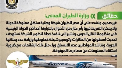 الحكومة تنفي بيع 