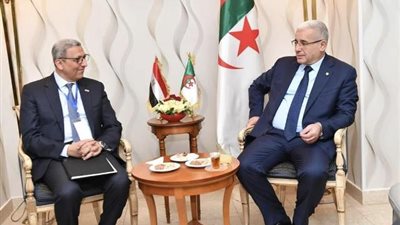 وكيل النواب يلتقى رئيس المجلس الوطنى الجزائرى