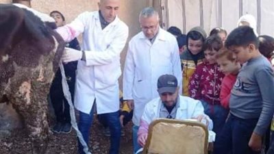 بيطرى الشرقية يُنظم قافلة طبية بيطرية شاملة بالسعادات