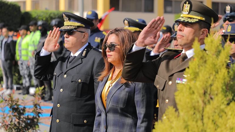 ارشفية