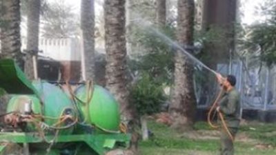 مقاومة حشرة النمل الابيض وفحص ورش النخيل بالمنتزة