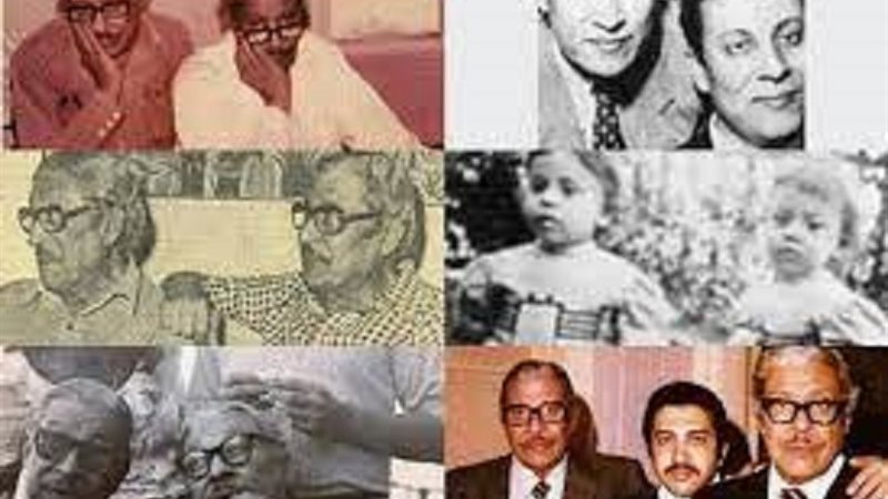 عماد حمدى وتوأمه