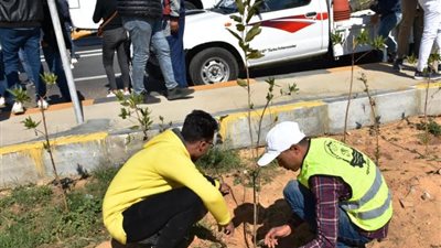 محافظ أسوان يشدد للإسراع بزراعة أشجار الظل والمثمرة بالمواقع