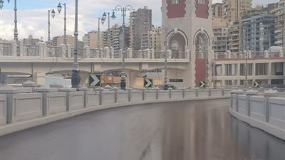 نوه الكرم تغرق شوارع الاسكندرية