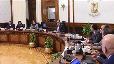 مدبولي: الإعلان فى مؤتمر صحفي عن الشركات التي سيتم طرحها قريبا