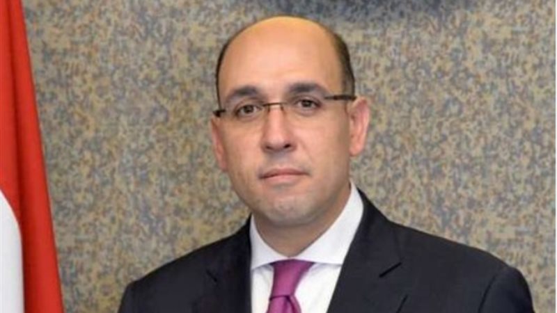 السفير أحمد حافظ