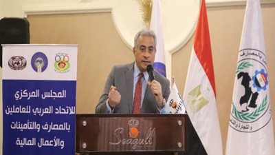 شحاتة:الدولة المصرية لم تقف مكتوفة الايادي أمام التحديات العالمية
