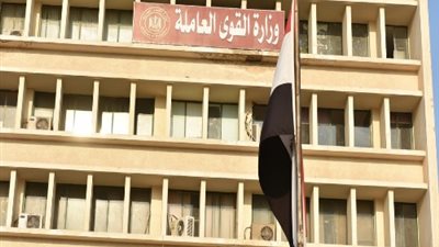 القوى العاملة توفر فرص عمل للشباب بالإسكندرية