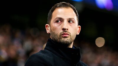 رسميا.. الإعلان عن المدير الفني الجديد لمنتخب بلجيكا