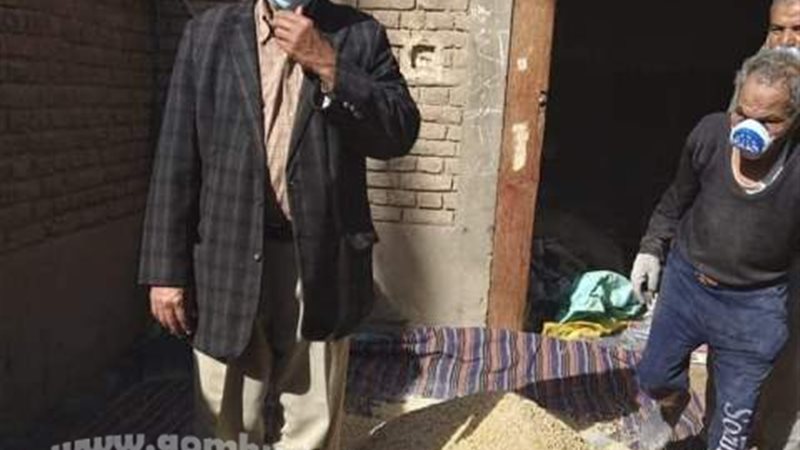 بوابة الجمهورية