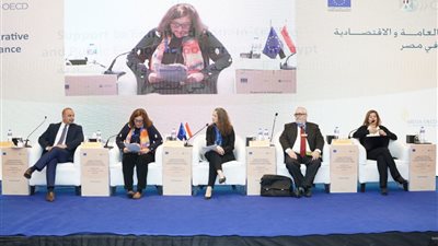 نائب وزيرة التخطيط يشارك بجلسة بعنوان 