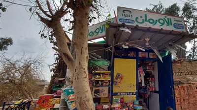 مساعدات مالية لتمويل مشروعات صغيرة للأسر الأولى بالرعاية