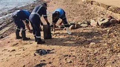 مشروعات حماية الحياة البحرية بالبحر الأحمرتنعش السياحة المائية