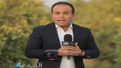 120 مليون رأس عجول و5 مجازر جاهزة لتخفيض أسعار اللحوم فى مصر