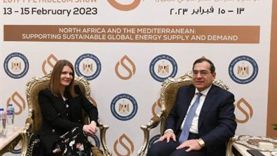 وزير البترول يستعرض مستجدات الهيدروجين الأخضر للانتقال الطاقى