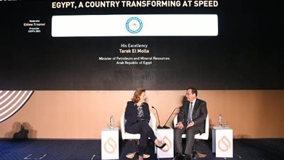 الملا: بداية من الدورة المقبلة سيكون إيجبس معرض مصر الدولى للطاقة