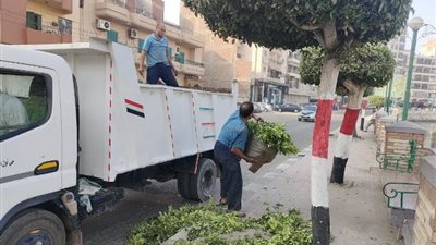 حملات نظافة وتجميل وإنارة بمراكز ومدن الشرقية