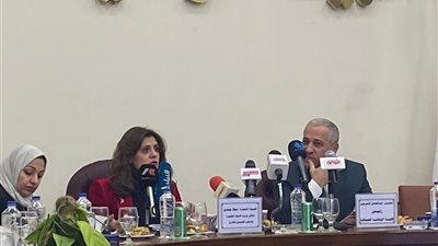 قرارات محتملة بشأن مد التسجيل فى مبادرة استيراد السيارات .. وزيرة الهجرة تكشف